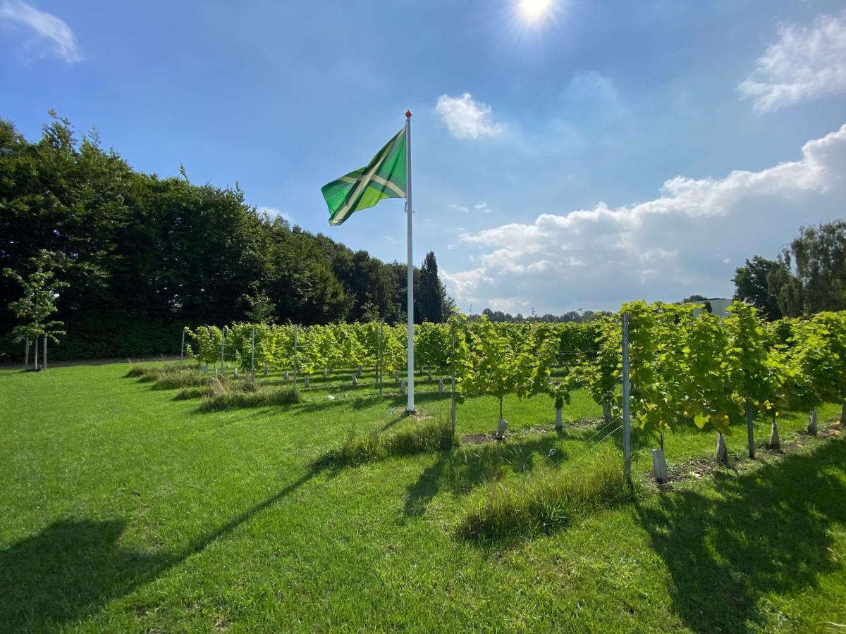 Achterhoeks Goed, Bed & Breakfast In Vragender Dış mekan fotoğraf