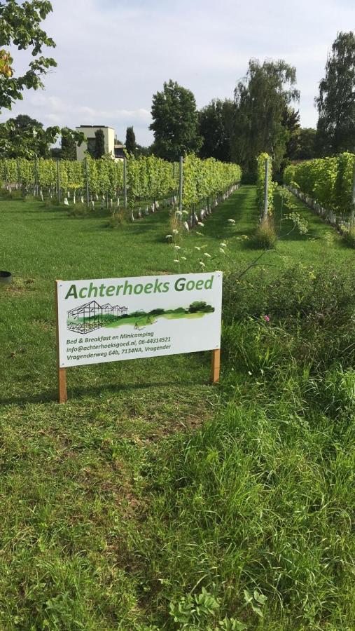 Achterhoeks Goed, Bed & Breakfast In Vragender Dış mekan fotoğraf